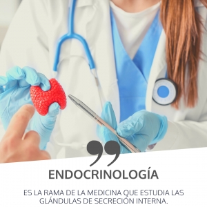 Endocrinología